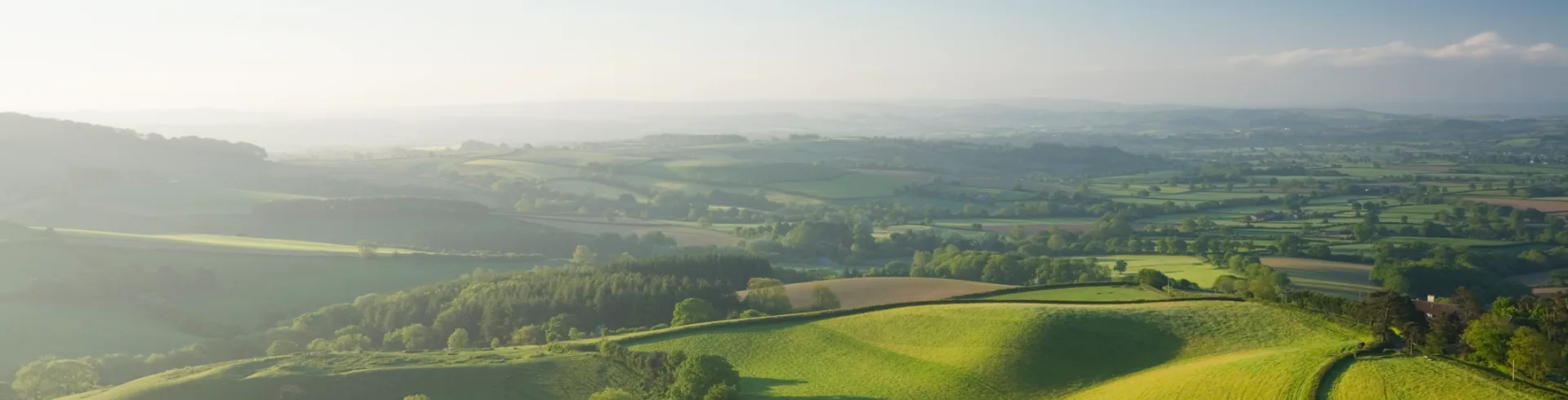 Land in M43 available for sale